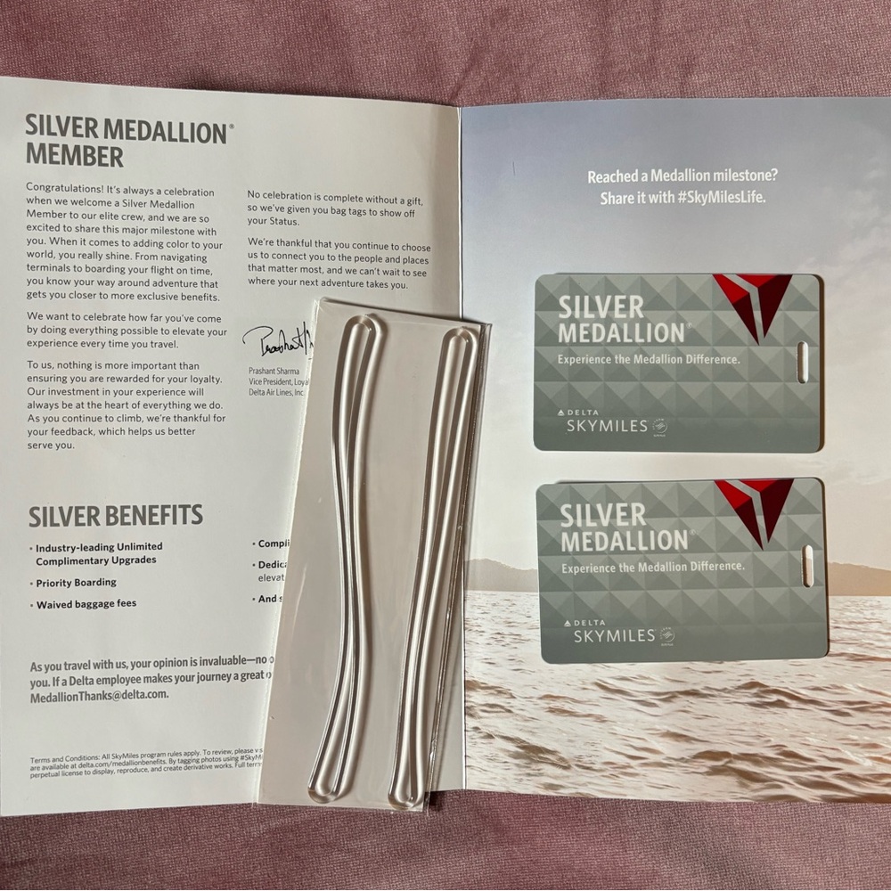 New Delta Silver Medallion Luggage Sky Tags